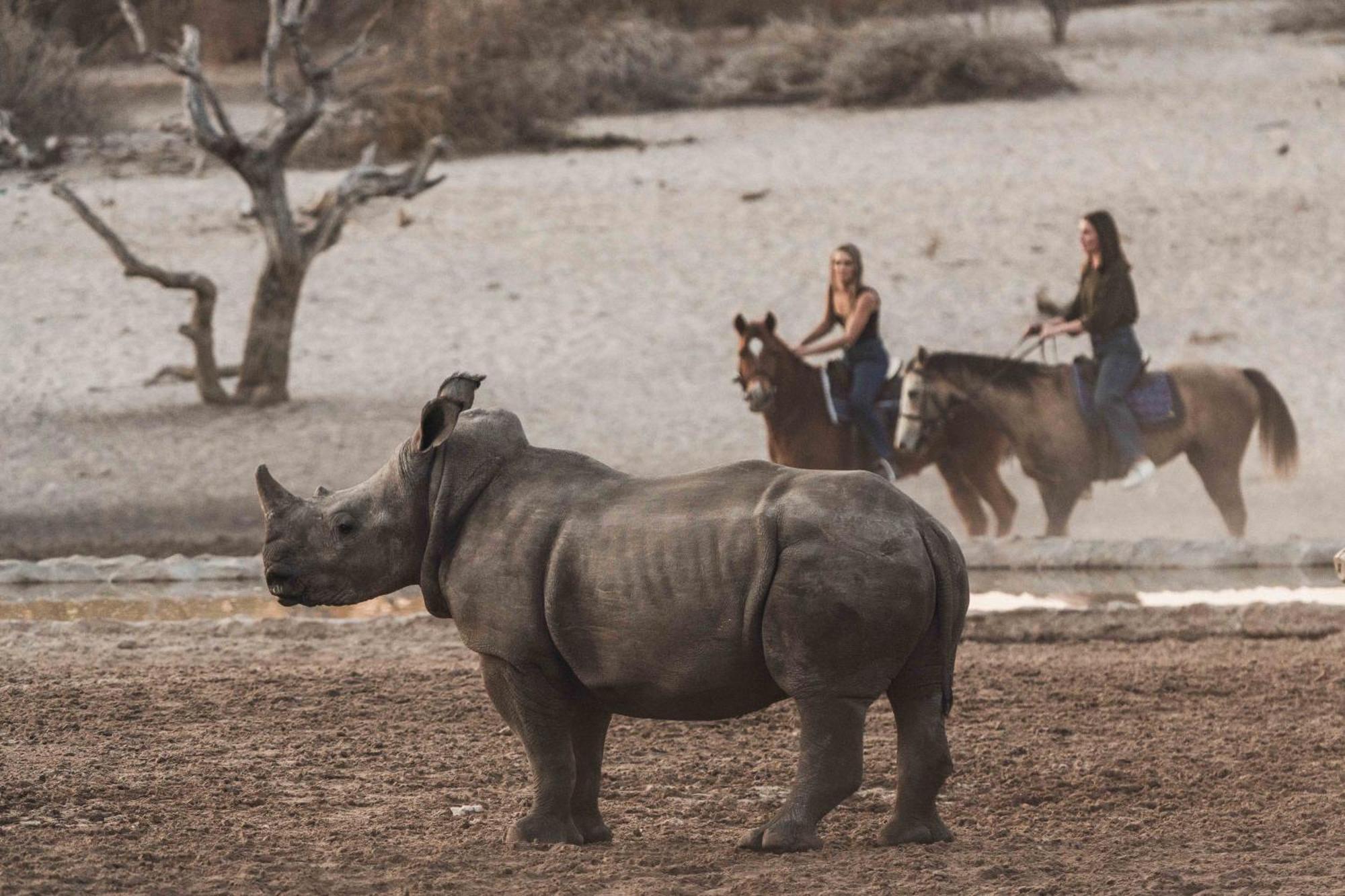 Grassland Safari Lodge Ghanzi ภายนอก รูปภาพ
